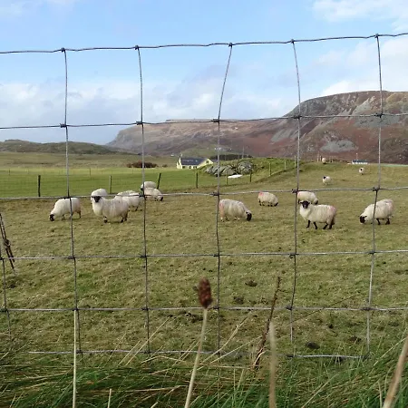 Heather House On The Wild Atlantic Way Penzion Donegal Town