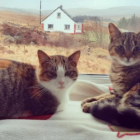 Heather House On The Wild Atlantic Way Pensión