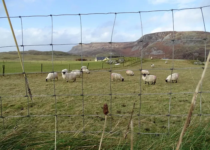Heather House On The Wild Atlantic Way Casa de hóspedes Donegal Town