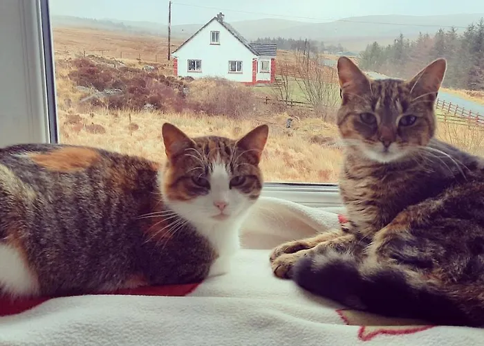 Heather House On The Wild Atlantic Way Gasthuis