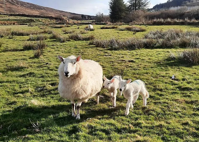 Gasthuis Heather House On The Wild Atlantic Way